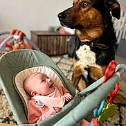 Lillian joined the competition — help win amazing prizes! baby, dog, infant, baby_bouncer, toy, indoor, living_room, smiling, pet, animal, child, cute, happy, playtime, furniture, carpet, clothing, person, domestic, friendship