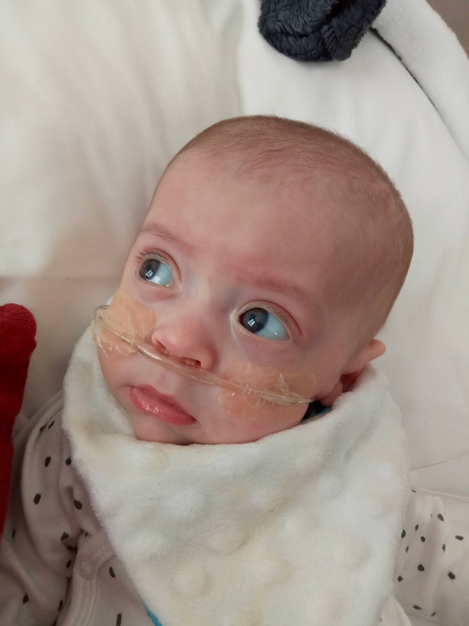 Armin participe au concours pour gagner de l'argent avec cette photo : baby, baby_toddler_clothing, cheek, chin, eye, eyebrow, eyelash, face, head, iris, lip, mouth, neck, nose, organ, person, pink, skin, sleeve, textile