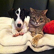 Angel a rejoint le concours — aidez-le/la à gagner de superbes lots !