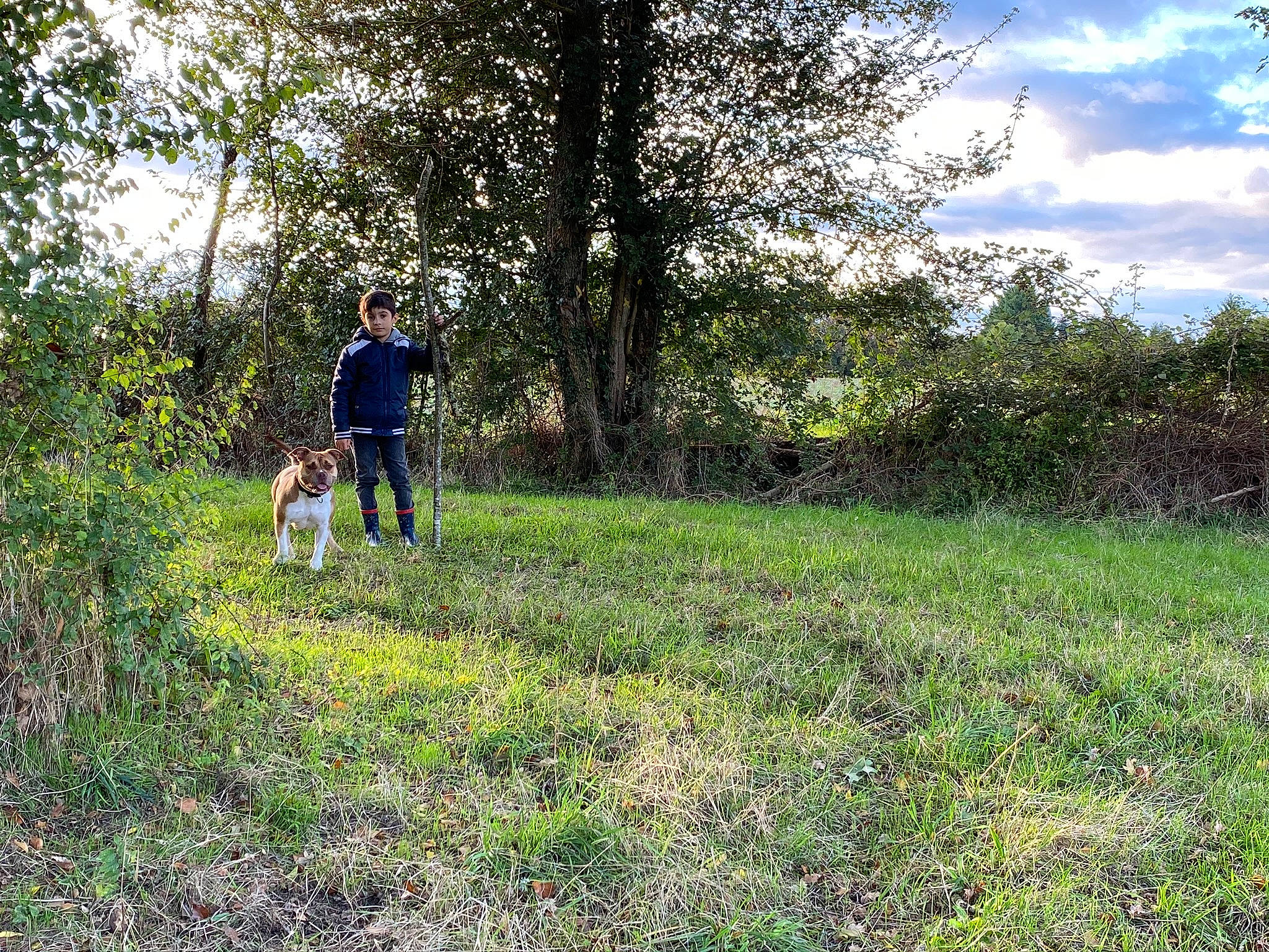 Joey participe au concours pour gagner de l'argent avec cette photo : canidae, dog_walking, field_trial, forest, grass, grassland, hunting_dog, meadow, pasture, person, plant, plant_community, recreation, shrub, shrubland, sporting_group, trail, tree, walking, wilderness