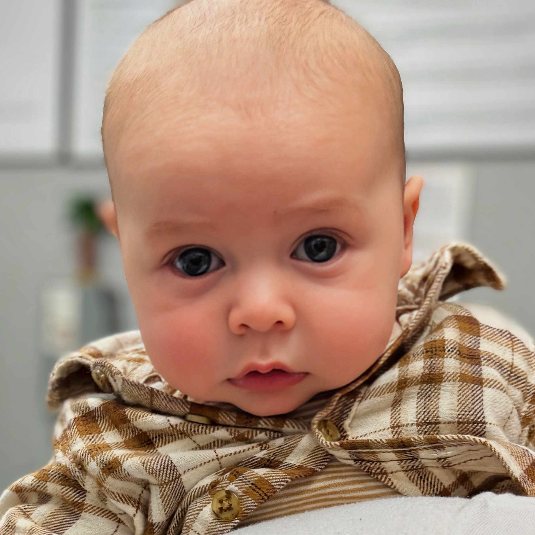 Ozzy is registered to the contest to win money with this photo: baby, child, face, portrait, close_up, plaid_shirt, clothing, infant, cute, eyes, expression, soft_light, indoors, young_child, head, skin, person, newborn, looking, apparel
