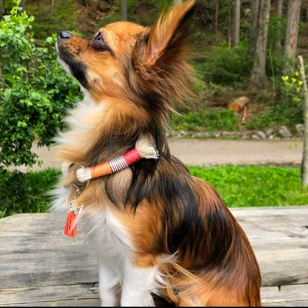 Nina