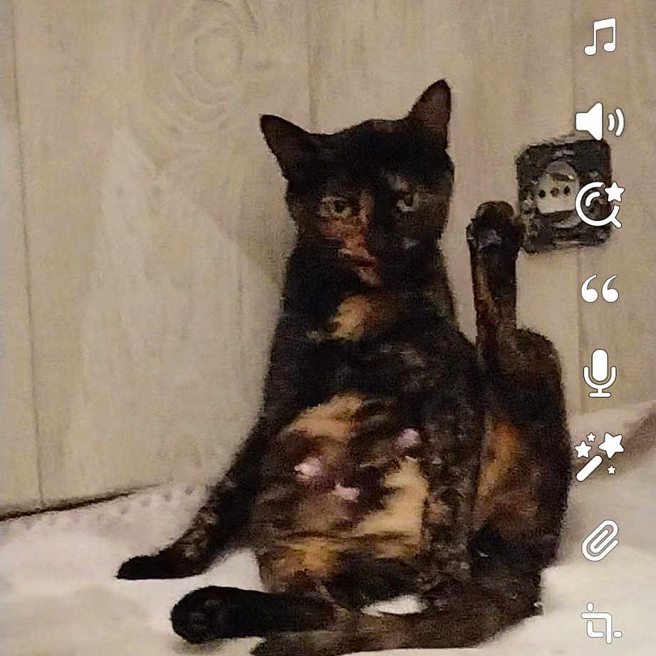 Bella