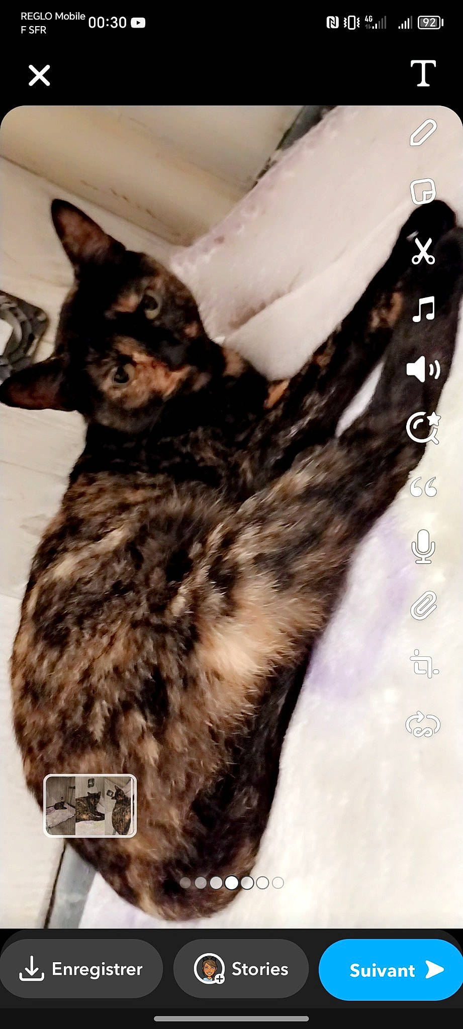 Bella participe au concours pour gagner de l'argent avec cette photo : black_cat, carnivore, cat, claw, domestic_short_haired_cat, ear, eye, felidae, fur, monochrome_photography, paw, small_to_medium_sized_cats, snout, tail, terrestrial_animal, whiskers