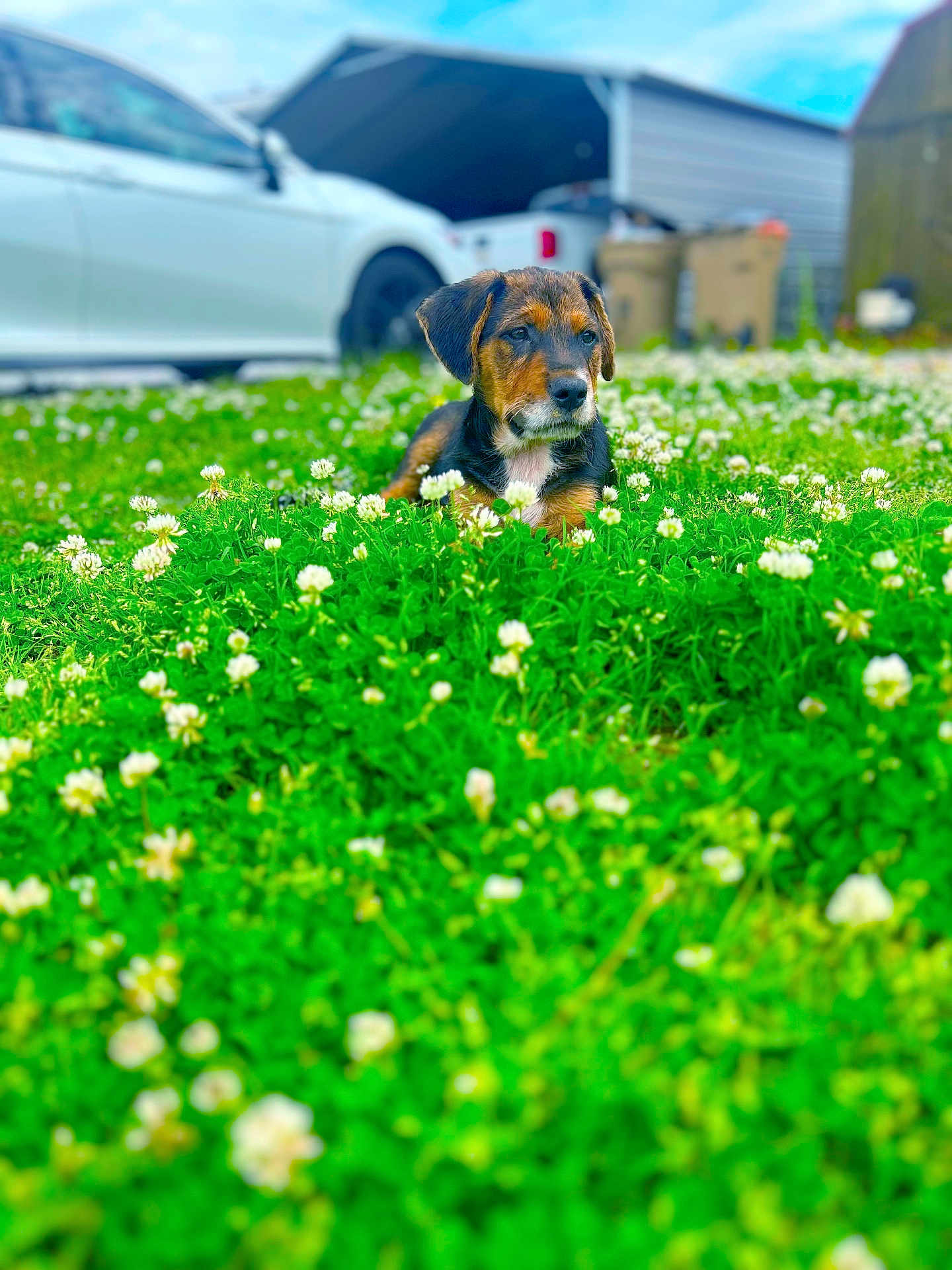 Tex