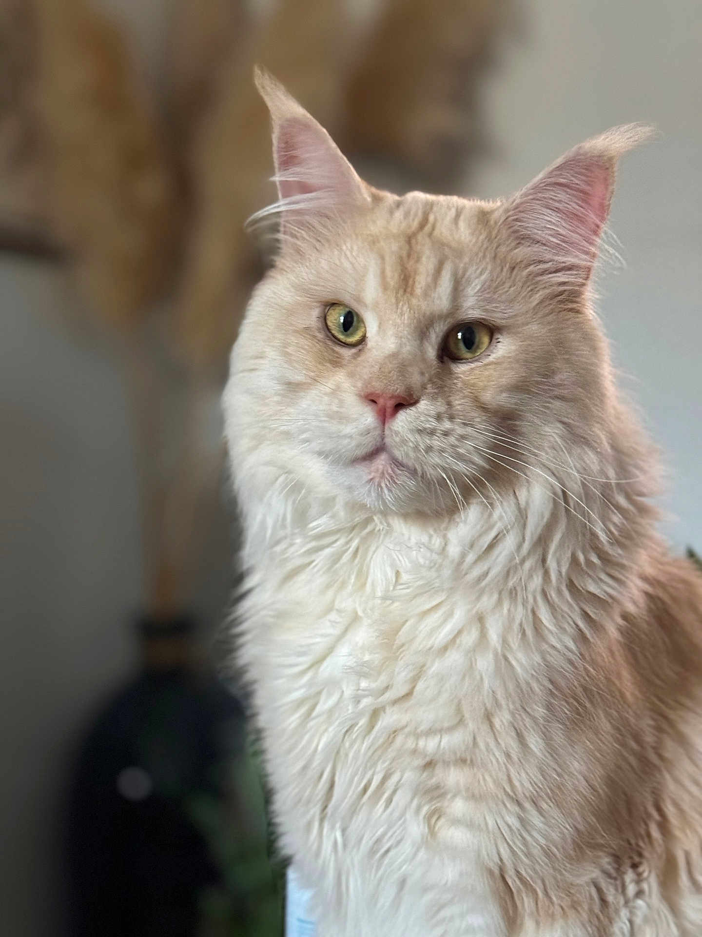 Ragnar