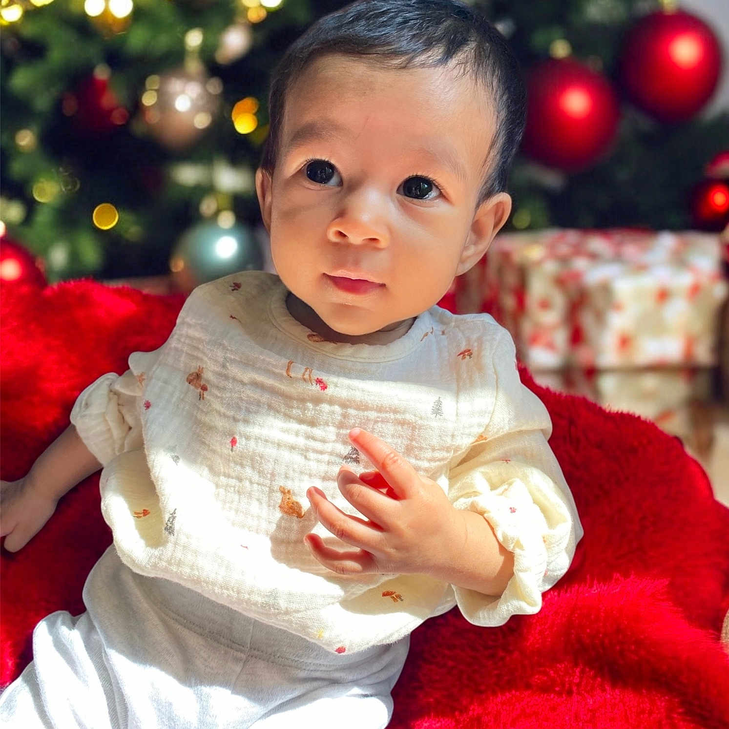 Arla is registered to the contest to win money with this photo: baby, blurred_background, child, christmas_tree, clothing, curious, cute, eyes, face, festive, holiday, indoor, infant, long_sleeve_shirt, ornaments, portrait, present, red_blanket, soft_lighting, white_pants