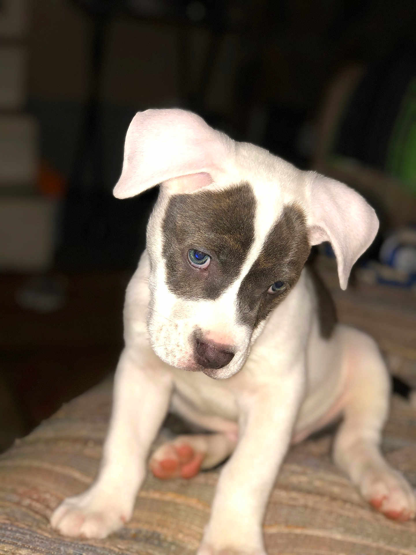 Samson