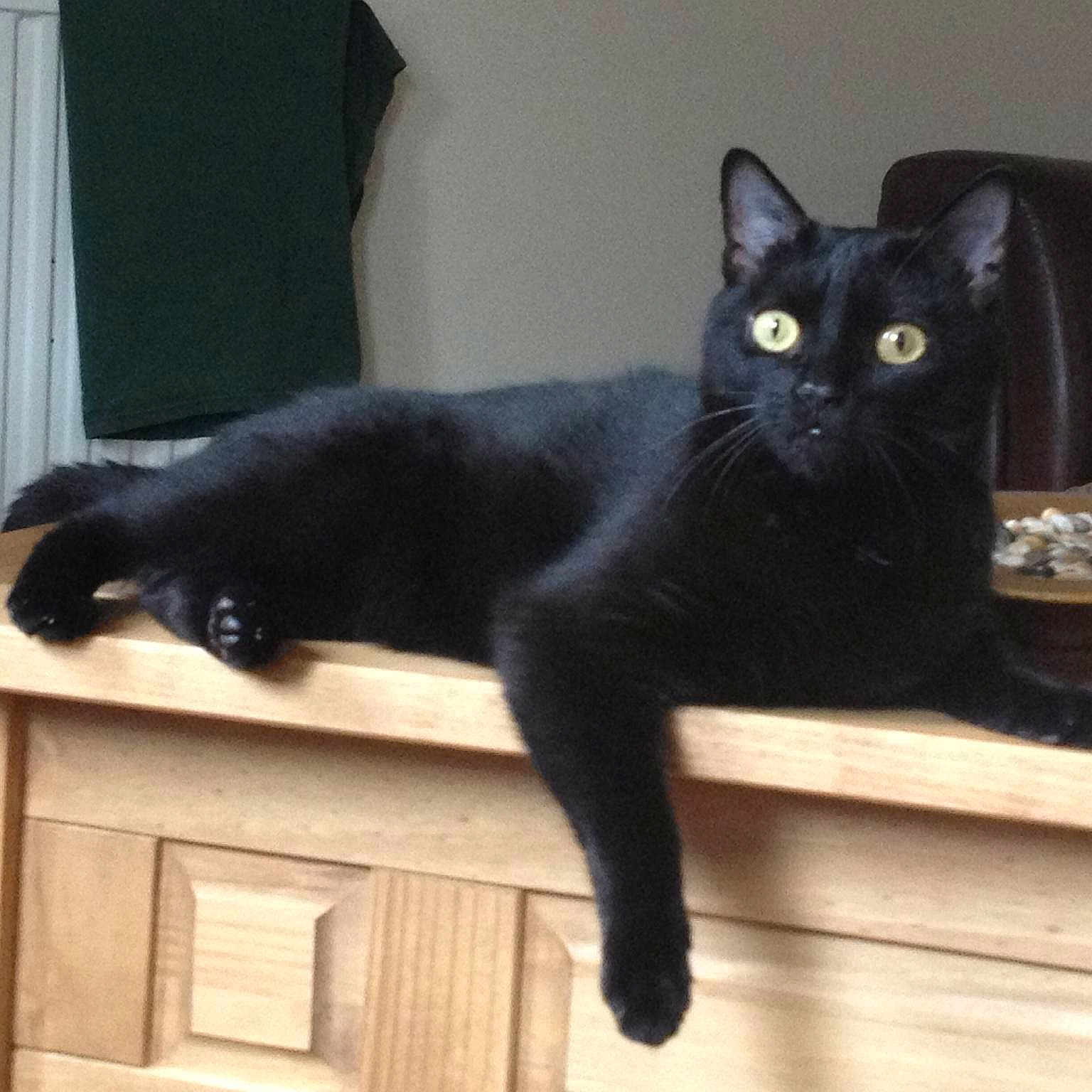 Jess joined the competition — help win amazing prizes!