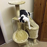 Odin is registered to the contest to win money with this photo: