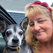 Rocco is registered to the contest to win money with this photo: animal, closeup, collar, companion, dog, face, friendship, fur, hair, happy, headband, house, leash, outdoor, pet, portrait, skin, smile, watch, woman
