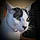 Lil Terrifier
