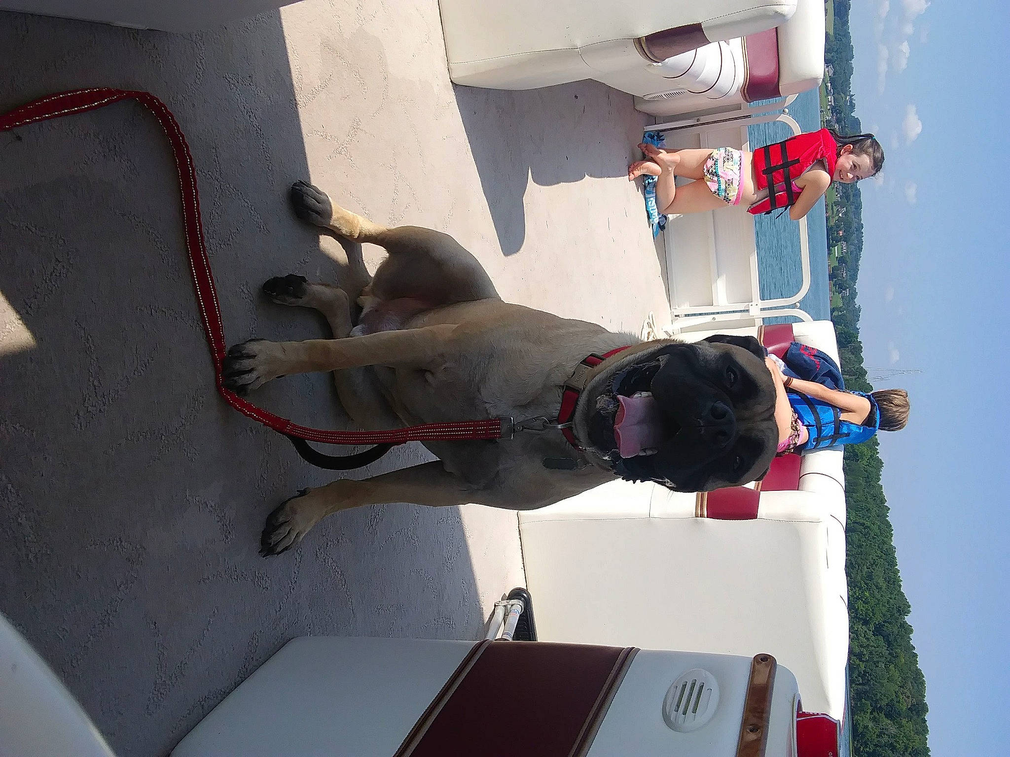 Moose joined the competition — help win amazing prizes! adventure, automotive_exterior, carmine, comfort, elbow, fun, human_leg, knee, leisure, machine, recreation, room, sky, thigh, tree, white, wrist