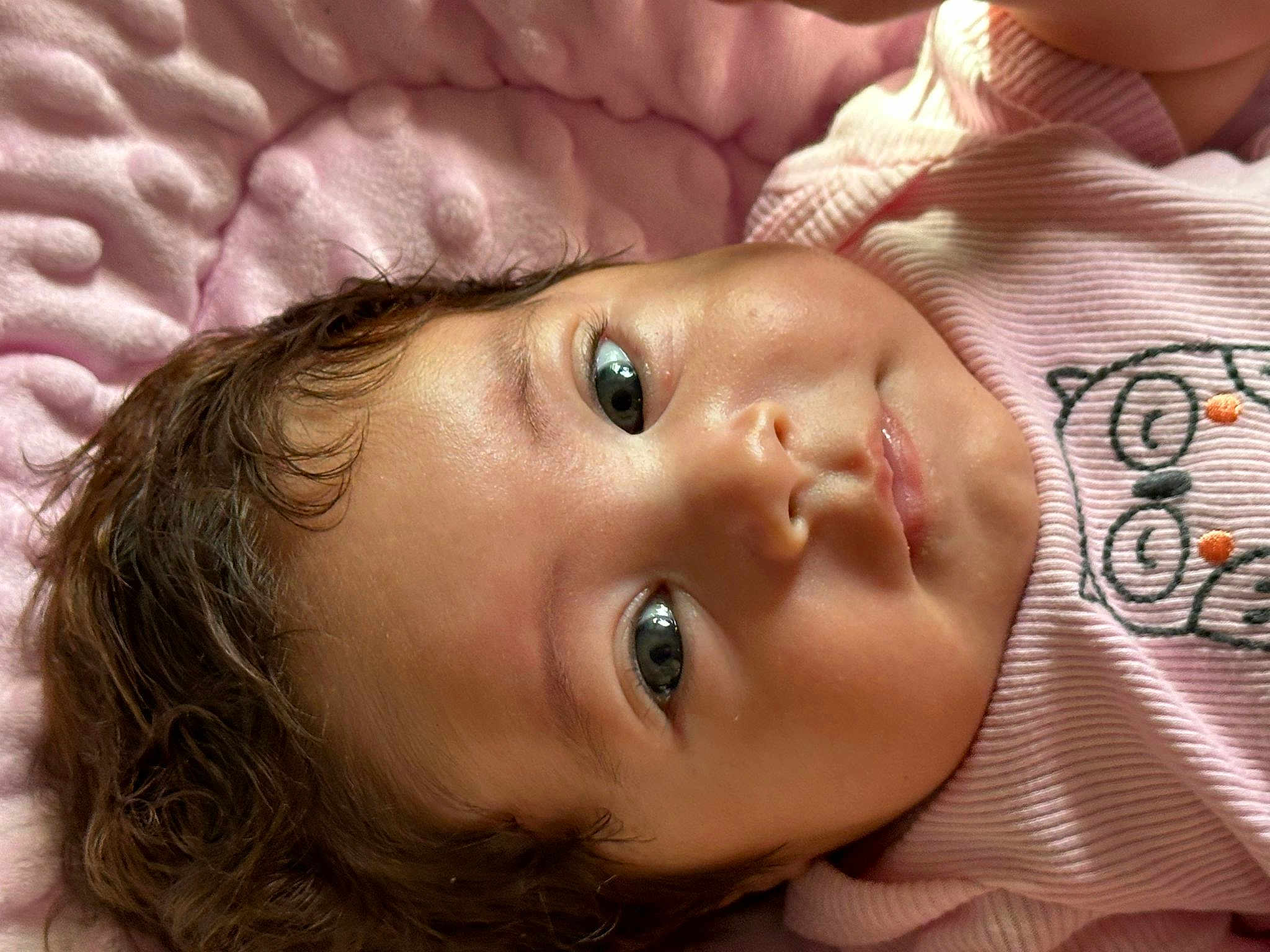 Zoé Ysabella Toledo is registered to the contest to win money with this photo: baby, infant, face, curly_hair, pink_blanket, pink_clothing, owl_design, closeup, lying_down, young_child, skin, eyes, expression, soft_texture, cute, portrait, child, indoors, head, toddler