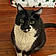 Blackie
