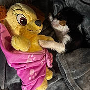 Lydie participe au concours pour gagner de l'argent avec cette photo : puppy, stuffed_animal, blanket, pink, yellow, paw_prints, cozy, soft, toy, sleeping, cute, pet, animal, fur, resting, bed, comfort, friendship, indoor, snuggle