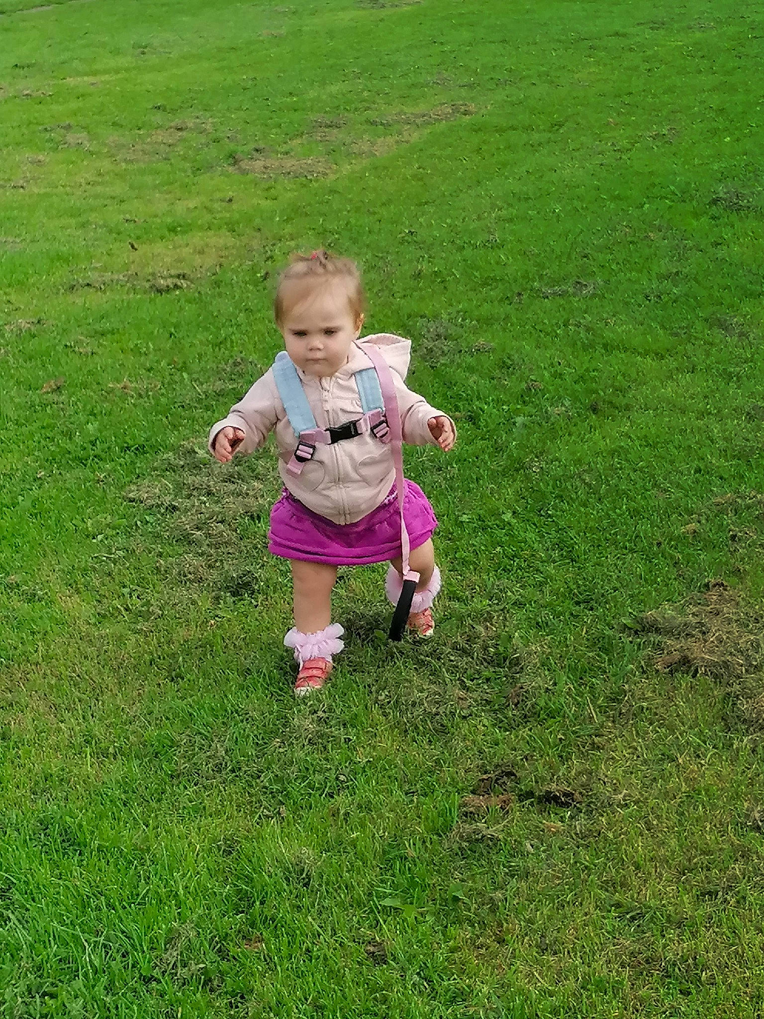 Trinity-joan joined the competition — help win amazing prizes! child, grass, grass_family, grassland, green, lawn, leaf, meadow, pasture, person, plant, play, toddler