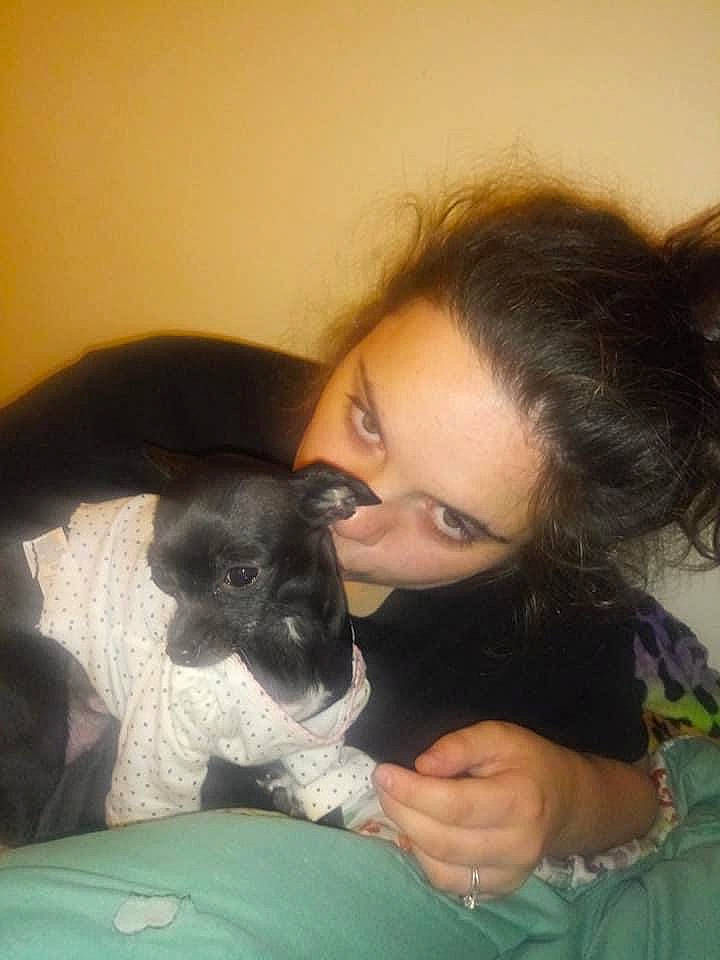 Ebby is registered to the contest to win money with this photo: black_hair, canidae, carnivore, comfort, companion_dog, dog, dog_breed, ear, eyelash, fawn, felidae, fur, happy, lap, puppy_love, sitting, small_to_medium_sized_cats, sporting_group, toy_dog, whiskers