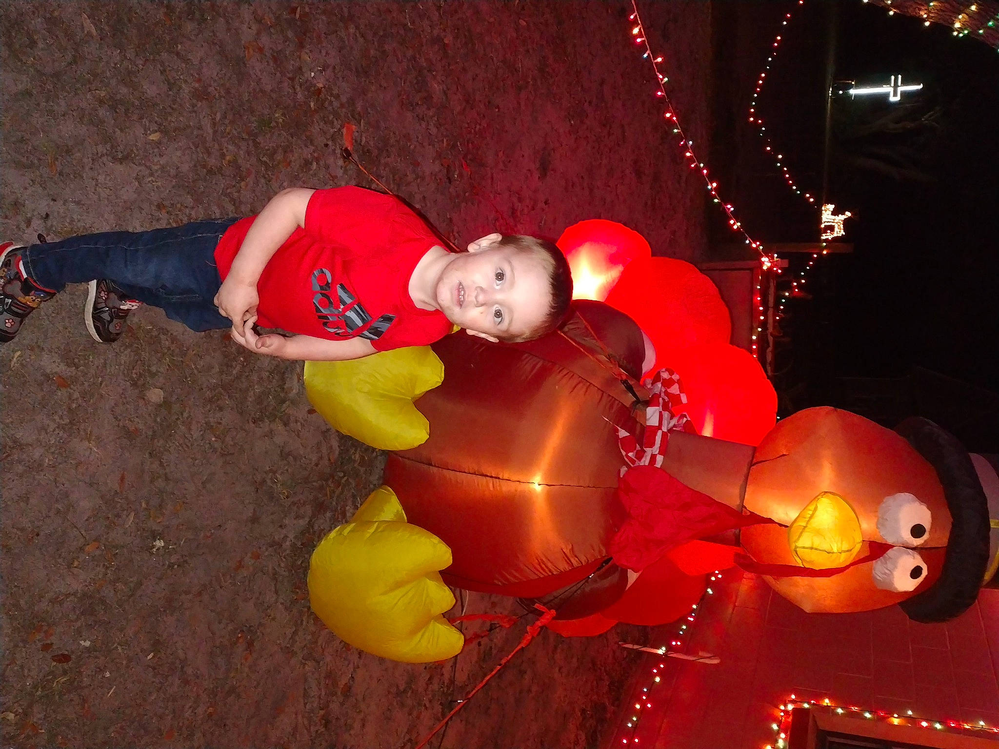 Niko joined the competition — help win amazing prizes! balloon, carmine, event, flash_photography, fun, happy, holiday, lantern, light_fixture, night, ornament, party_supply, person, red, space