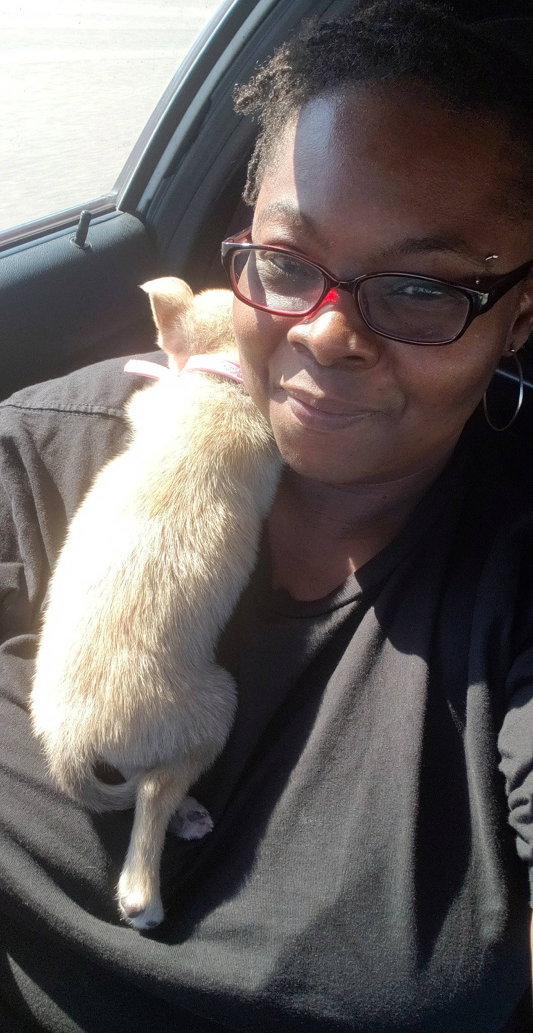 Stella joined the competition — help win amazing prizes! companion_dog, eyewear, fawn, fur, glasses, mouth, nose, photography, selfie