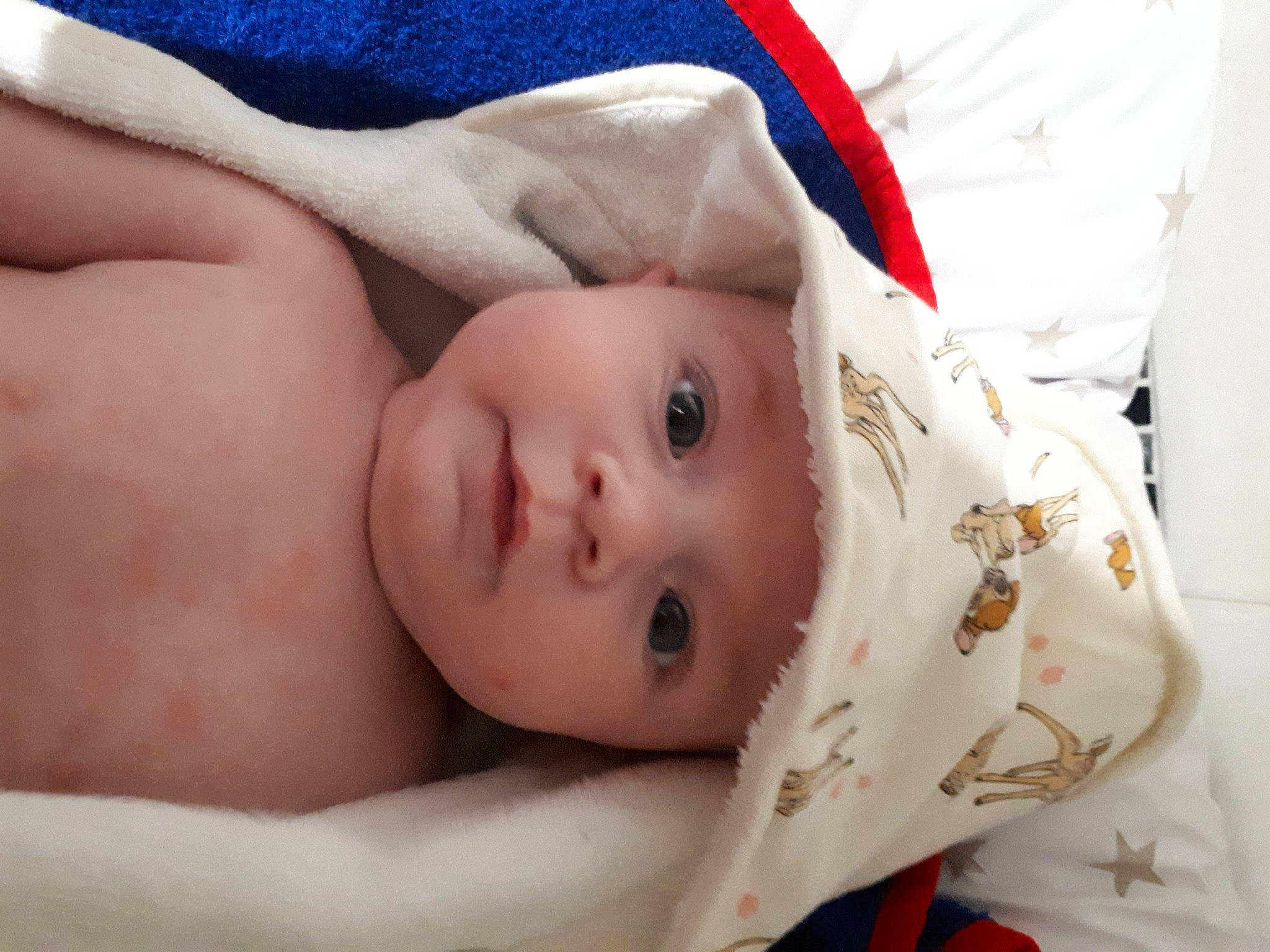 Evy a rejoint le concours — aidez-le/la à gagner de superbes lots ! abdomen, baby, cheek, comfort, eye, eyebrow, eyelash, face, hand, head, headgear, headwear, human_body, leg, linens, lip, mouth, nose, person, skin