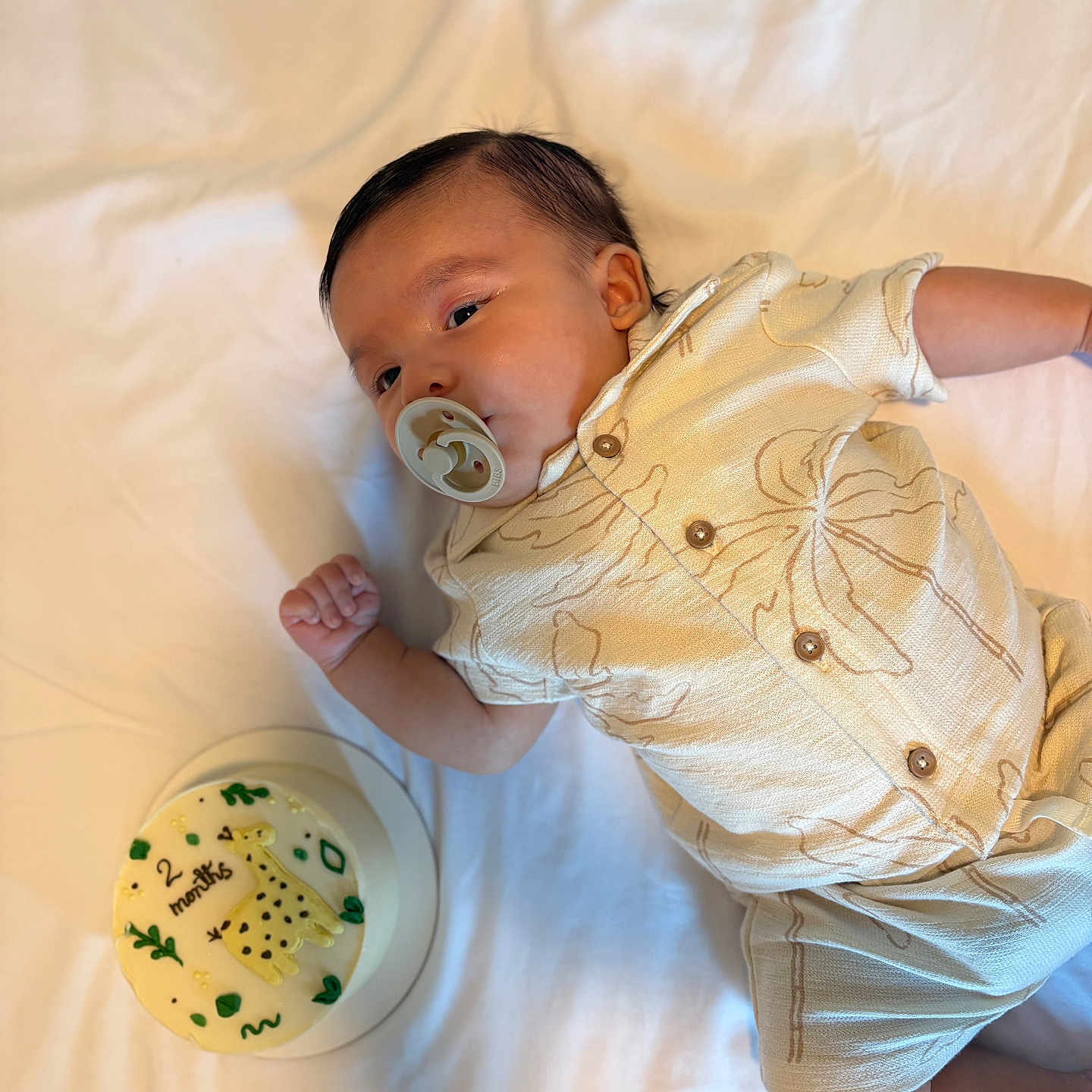 Noah is registered to the contest to win money with this photo: baby, buttoned_shirt, cake, celebration, child, clothing, cute, decorated_cake, dessert, food, giraffe, happy, indoor, infant, lying_down, months, pacifier, portrait, white_sheet, young_child