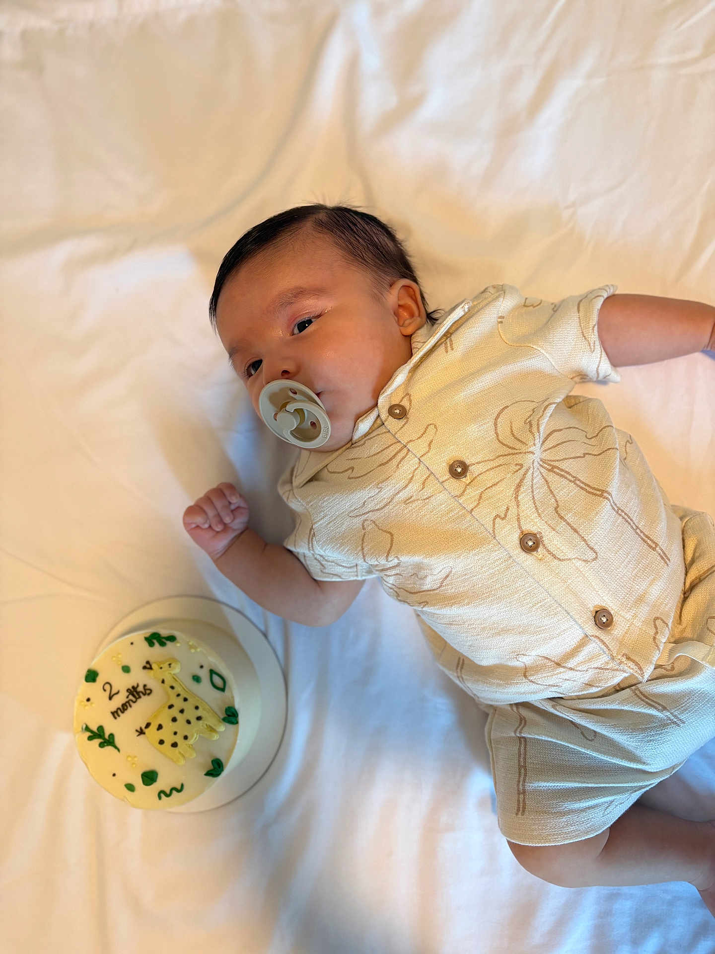 Noah is registered to the contest to win money with this photo: baby, infant, pacifier, cake, celebration, giraffe, months, clothing, white_sheet, lying_down, cute, child, portrait, food, dessert, decorated_cake, young_child, buttoned_shirt, happy, indoor