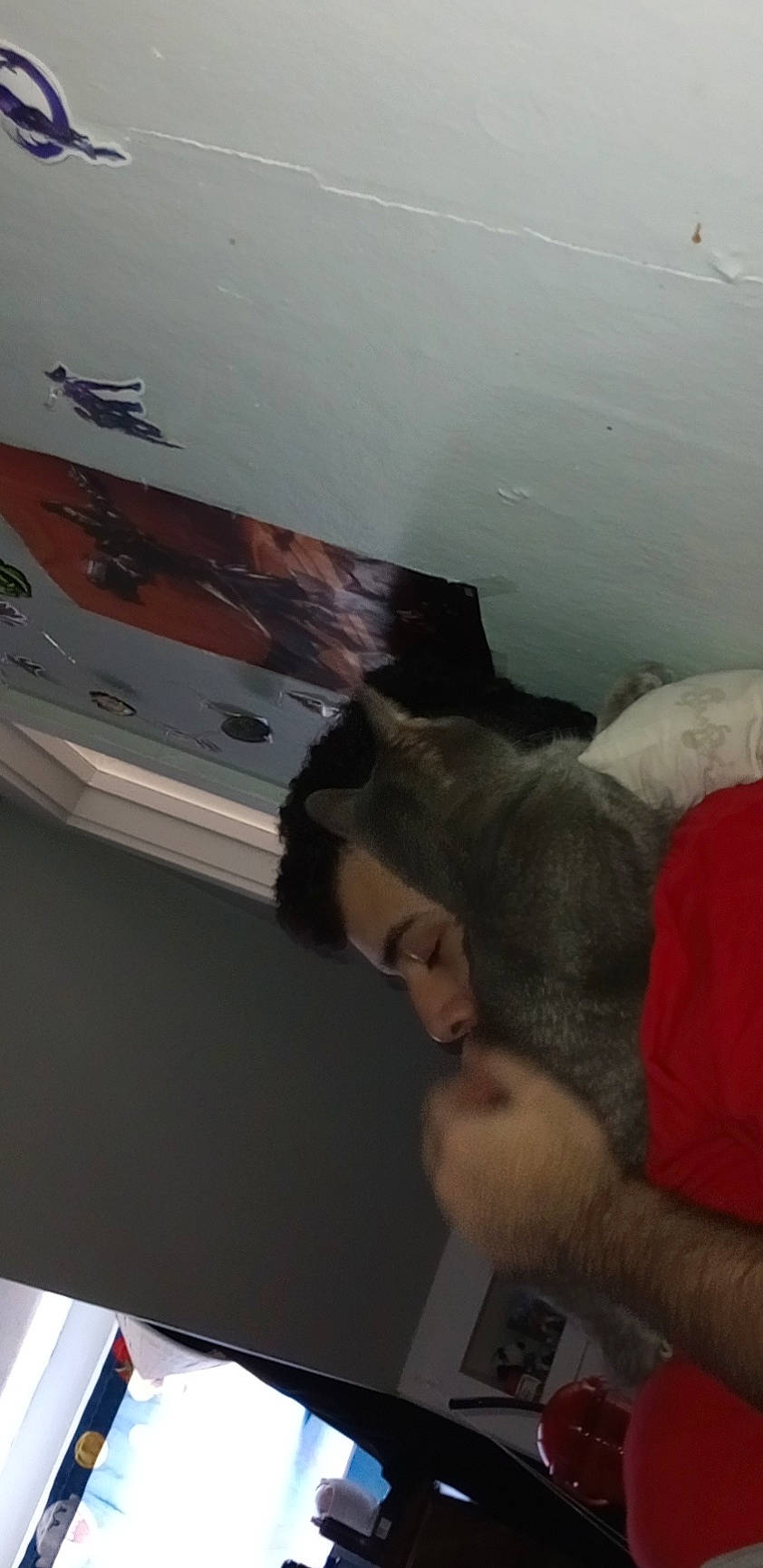 Kitters joined the competition — help win amazing prizes! audio_equipment, automotive_exterior, bumper, ceiling, comfort, elbow, felidae, flooring, fun, fur, gesture, hardwood, plaster, room, small_to_medium_sized_cats, t_shirt, tail, whiskers, wood