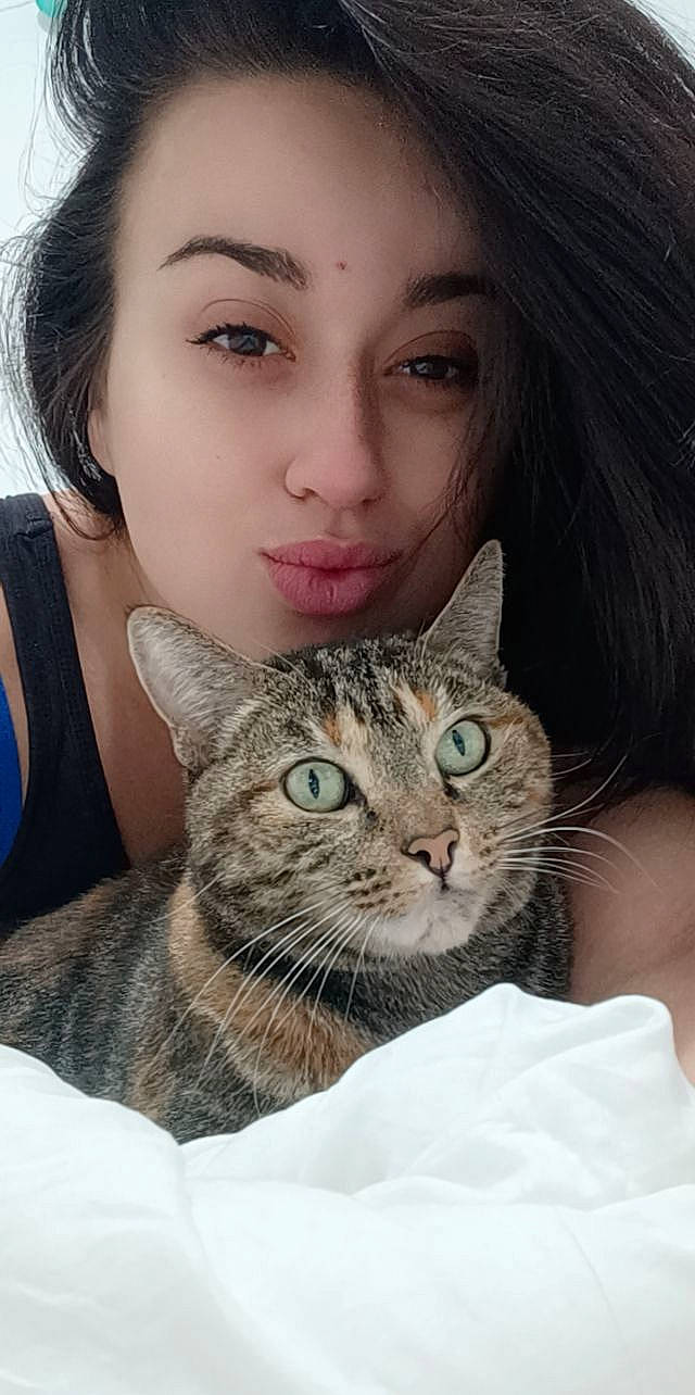 Luciole a rejoint le concours — aidez-le/la à gagner de superbes lots ! carnivore, cat, cheek, comfort, domestic_short_haired_cat, eye, eyelash, fawn, felidae, flash_photography, fur, happy, makeover, nose, organ, sitting, small_to_medium_sized_cats, snout, whiskers, window