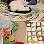 cat, bed, pillow, blanket, stuffed_toy, calendar, blue, red, white, black, floral_pattern, plush, indoor, sleeping, resting, colorful, fabric, cute, animal, soft