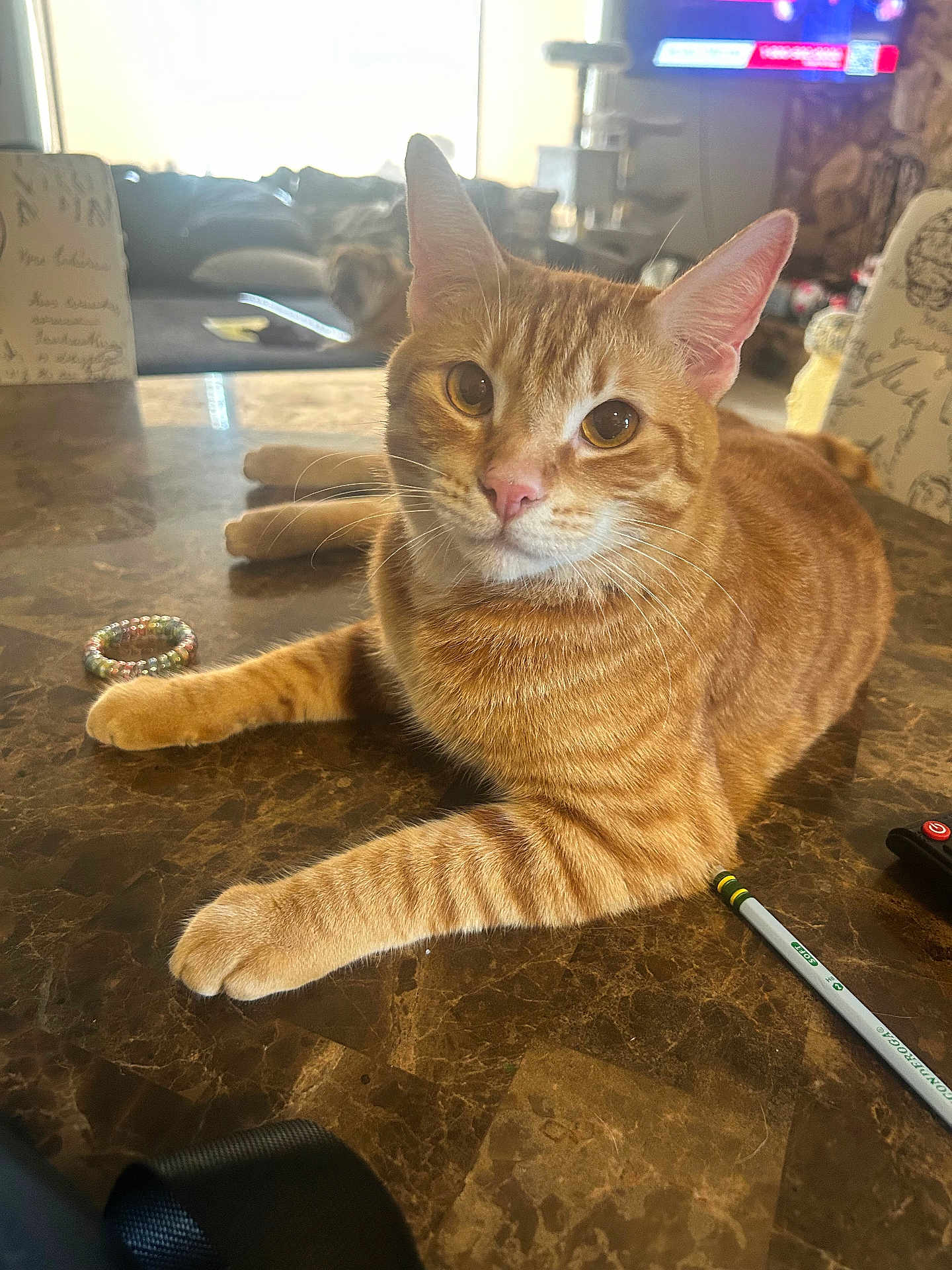 Cheeto joined the competition — help win amazing prizes! cat, ginger_cat, tabby, pet, indoor, table, marble, living_room, furniture, pencil, ring, couch, television, curious, orange_fur, whiskers, ears, close_up, relaxed, home