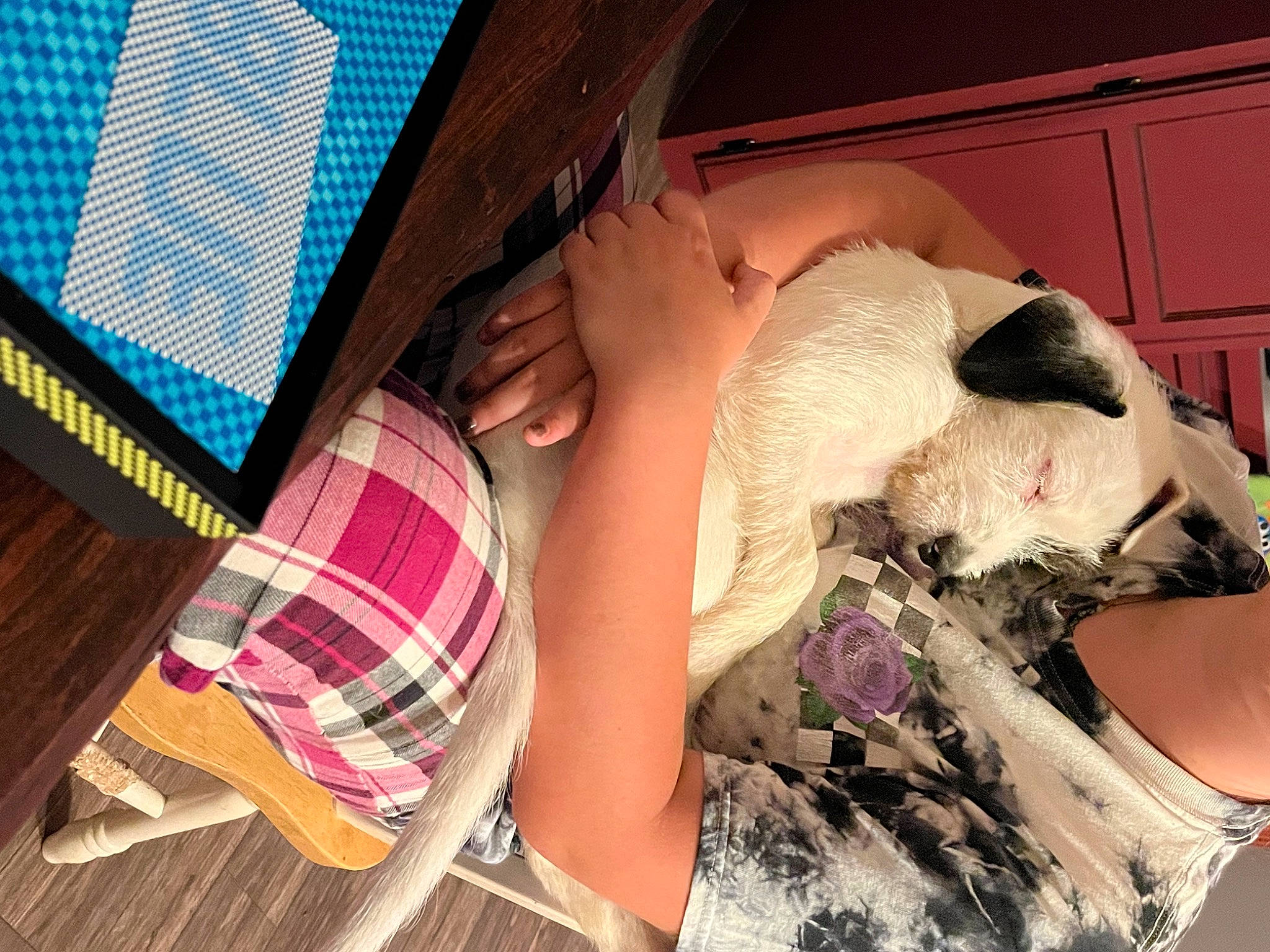 Little P is registered to the contest to win money with this photo: beard, chest, comfort, dress, eyelash, eyewear, fun, human_leg, leg, linens, long_hair, magenta, pattern, plaid, sunglasses, tartan, textile, thigh, tints_and_shades, trunk