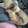 kitten, orange_cat, paw, blanket, cozy, fur, cute, pet, animal, playful, resting, soft_texture, indoor, close_up, sleepy, young_animal, whiskers, pink_fabric, relaxing, small