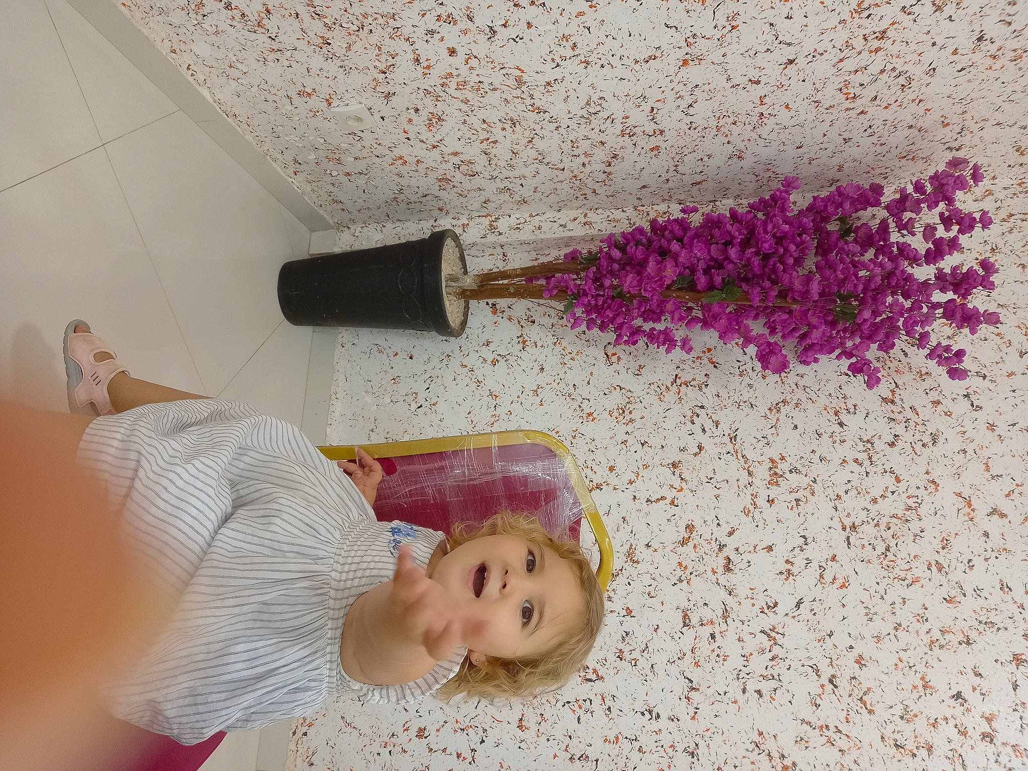 Inès participe au concours pour gagner de l'argent avec cette photo : baby, baby_toddler_clothing, ceiling, child, flooring, floral_design, flower, happy, magenta, person, petal, pink, plant, purple, room, shadow, smile, toddler, tree, violet