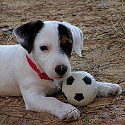 GROOVE participe au concours pour gagner de l'argent avec cette photo :