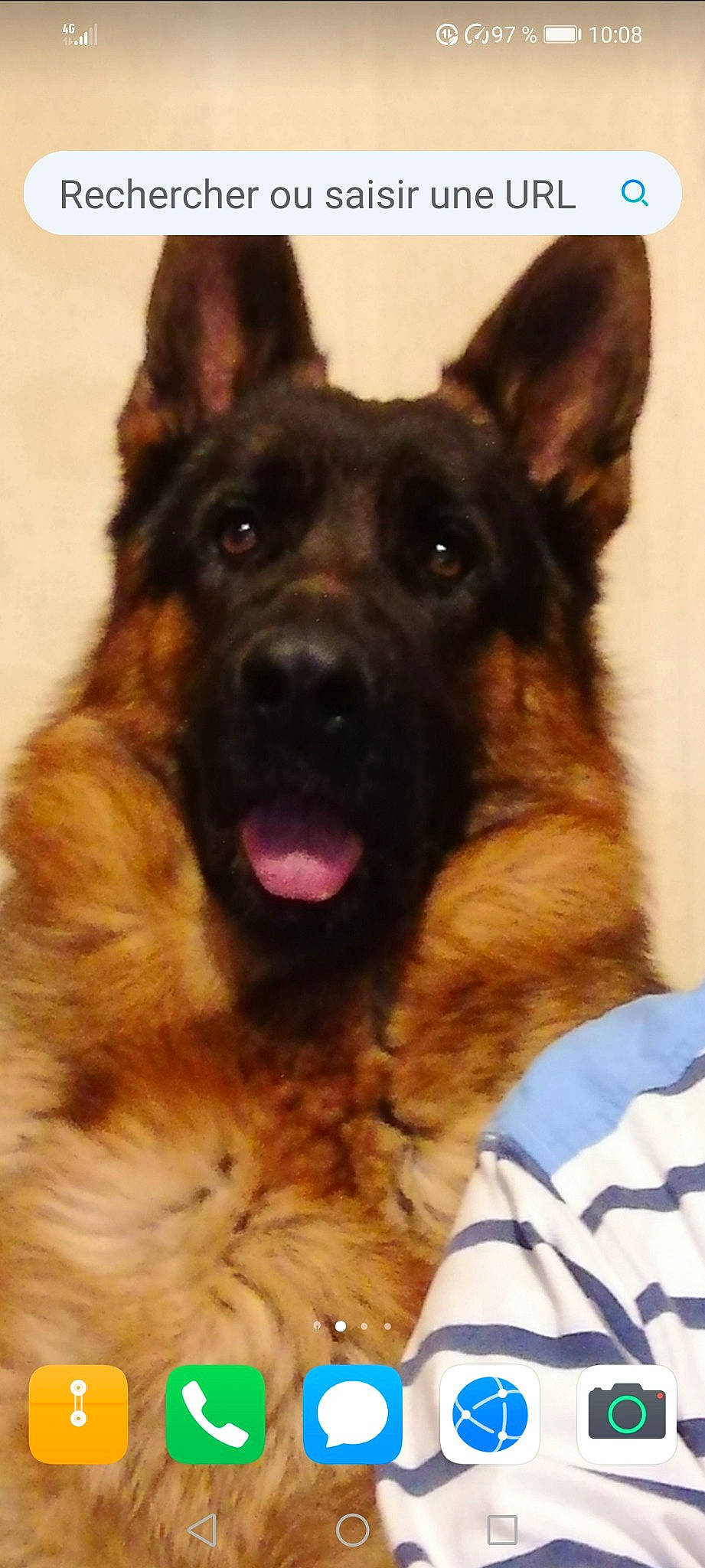 Clark participe au concours pour gagner de l'argent avec cette photo : canidae, carnivore, companion_dog, dog, dog_breed, east_european_shepherd, eye, fawn, fur, german_shepherd_dog, giant_dog_breed, guard_dog, herding_dog, king_shepherd, old_german_shepherd_dog, snout, sporting_group, whiskers, working_animal, working_dog