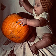 Alayah-Ray is registered to the contest to win money with this photo: baby, child, pumpkin, headband, bow, blanket, teddy_bear_print, shadow, indoors, cute, curious, crawling, soft_light, orange, white_clothing, infant, toddler, skin, hand, foot