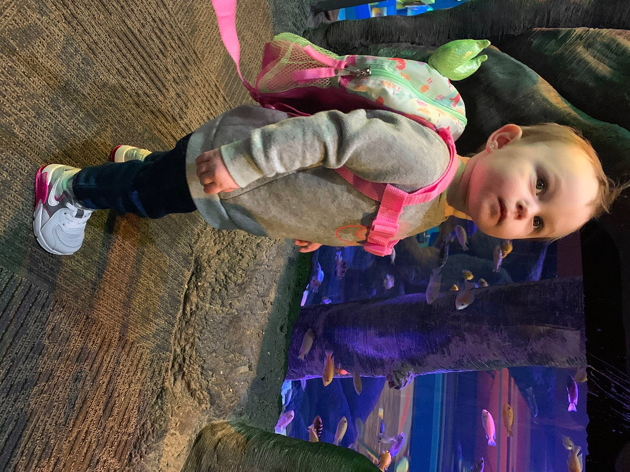 Hadlee is registered to the contest to win money with this photo: child, electric_blue, fun, glove, grass, leisure, light, magenta, people_in_nature, person, personal_protective_equipment, purple, soil, toddler, tree, walking_shoe, winter