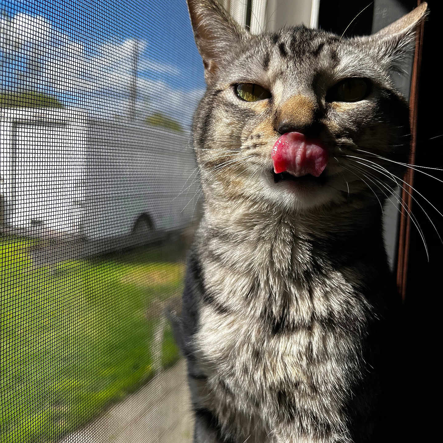 Bubba