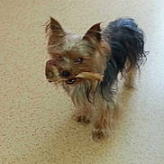 Gus participe au concours pour gagner de l'argent avec cette photo :