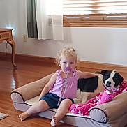 Mia joined the competition — help win amazing prizes! toddler, pacifier, dog, dog_bed, blanket, indoor, wooden_floor, child, curtains, window_blinds, pink_clothing, black_and_white_dog, hair, barefoot, furniture, relaxed, pet, home, comfort, floor