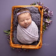 Ashlyn joined the competition — help win amazing prizes! newborn, baby, sleeping, portrait, basket, wicker, blanket, swaddled, headband, flowers, lavender, purple, soft_lighting, studio, photography, infant, peaceful, cozy, floral, closeup