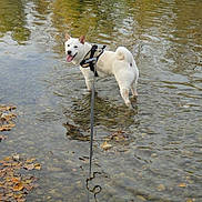 Jiro a rejoint le concours — aidez-le/la à gagner de superbes lots !