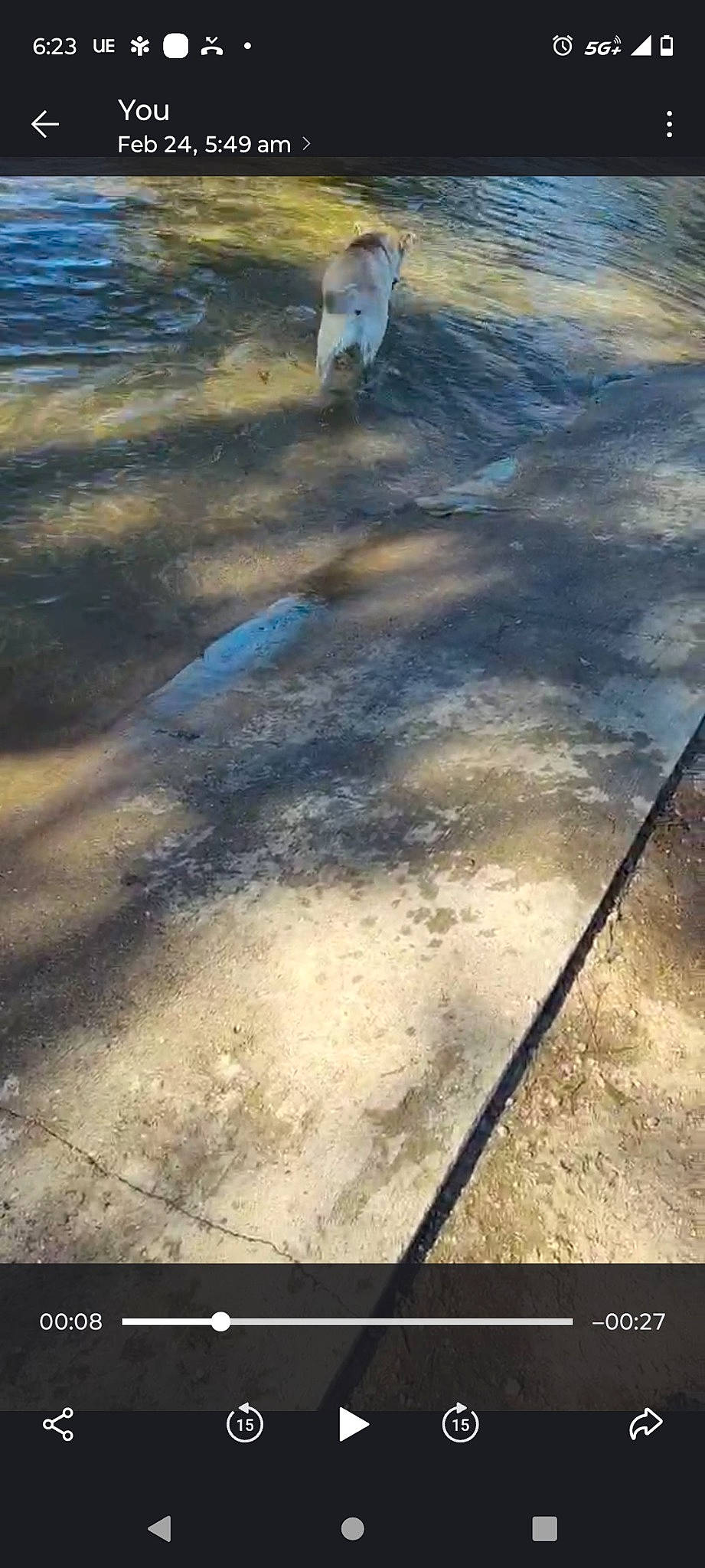 Jasper joined the competition — help win amazing prizes! asphalt, city, concrete, flagstone, floor, flooring, grass, human_leg, landscape, reflection, road, road_surface, shadow, sidewalk, sky, soil, tints_and_shades, walkway, water, wood