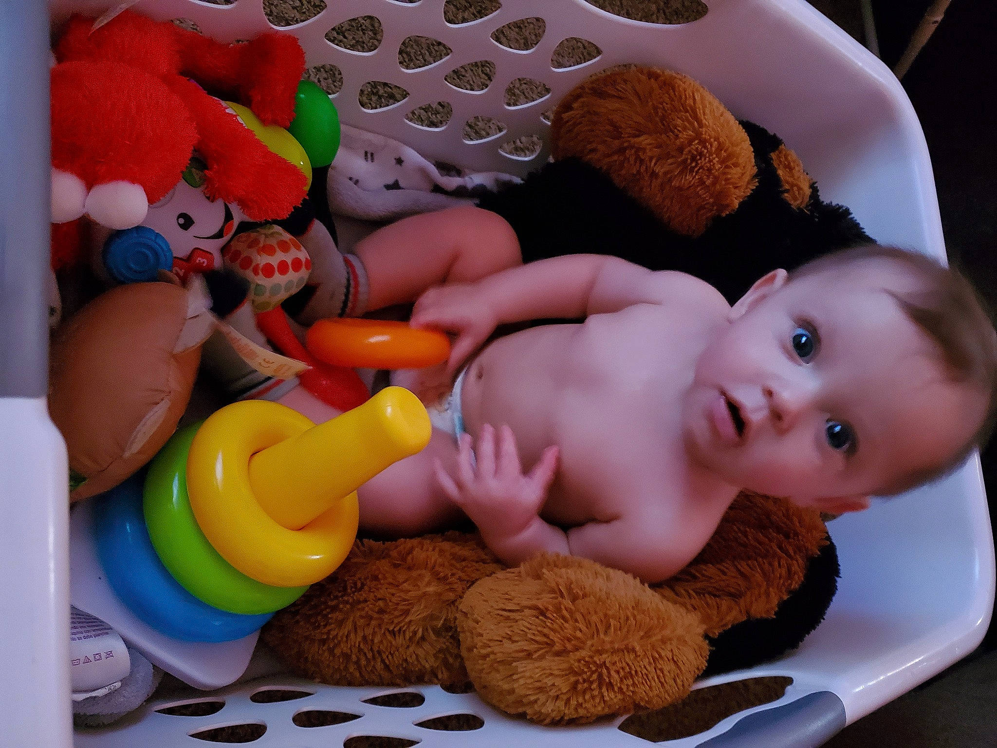 Roman is registered to the contest to win money with this photo: baby, baby_playing_with_toys, baby_sleeping, cheek, child, comfort, ear, finger, mammal, mouth, nose, organ, person, plush, product, skin, stuffed_toy, textile, toddler, toy