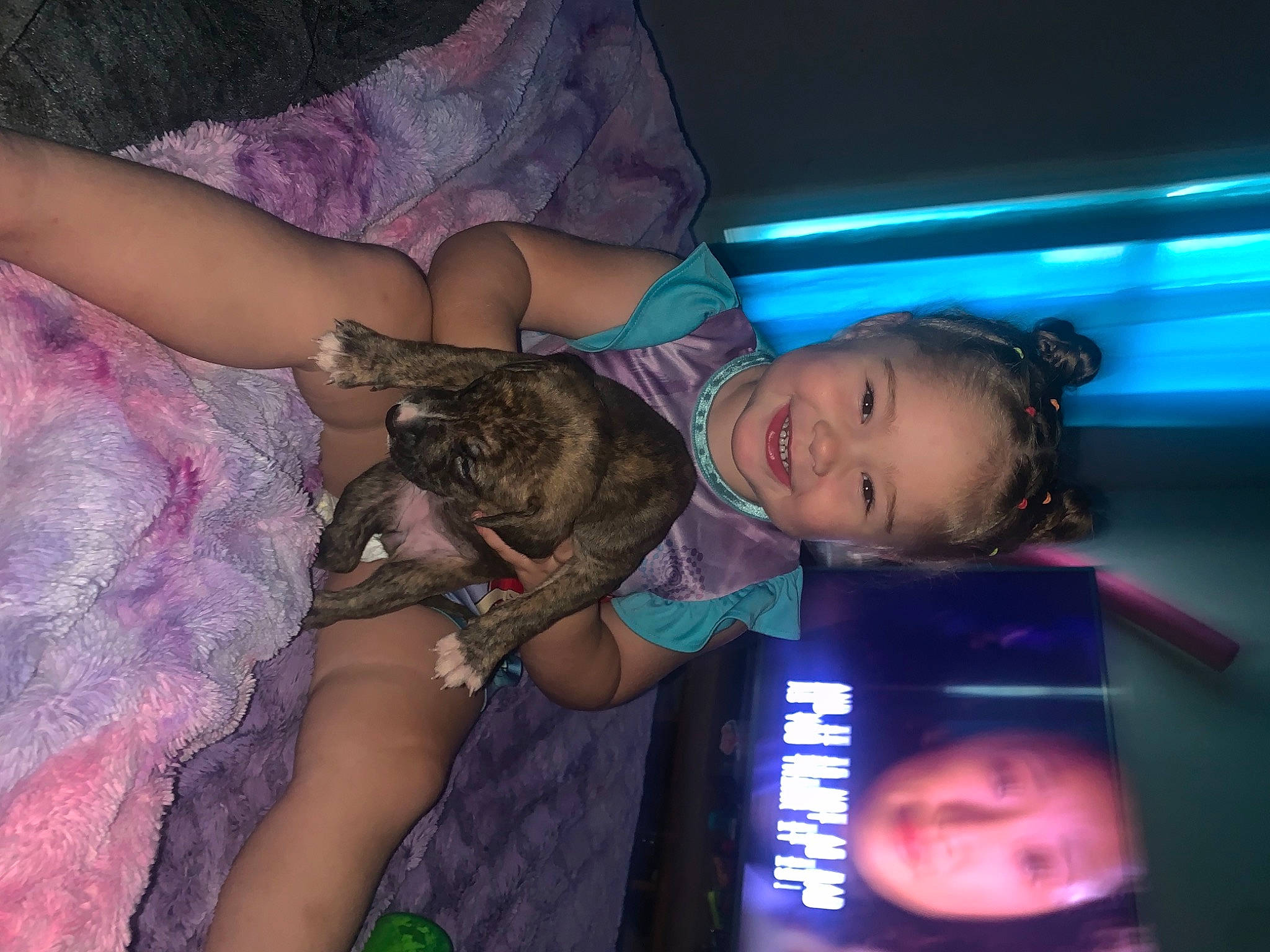 Kamiya joined the competition — help win amazing prizes! carnivore, cat, child, comfort, domestic_short_haired_cat, electric_blue, event, fawn, felidae, fun, fur, iris, joy, lap, mouth, nail, organ, person, purple, small_to_medium_sized_cats