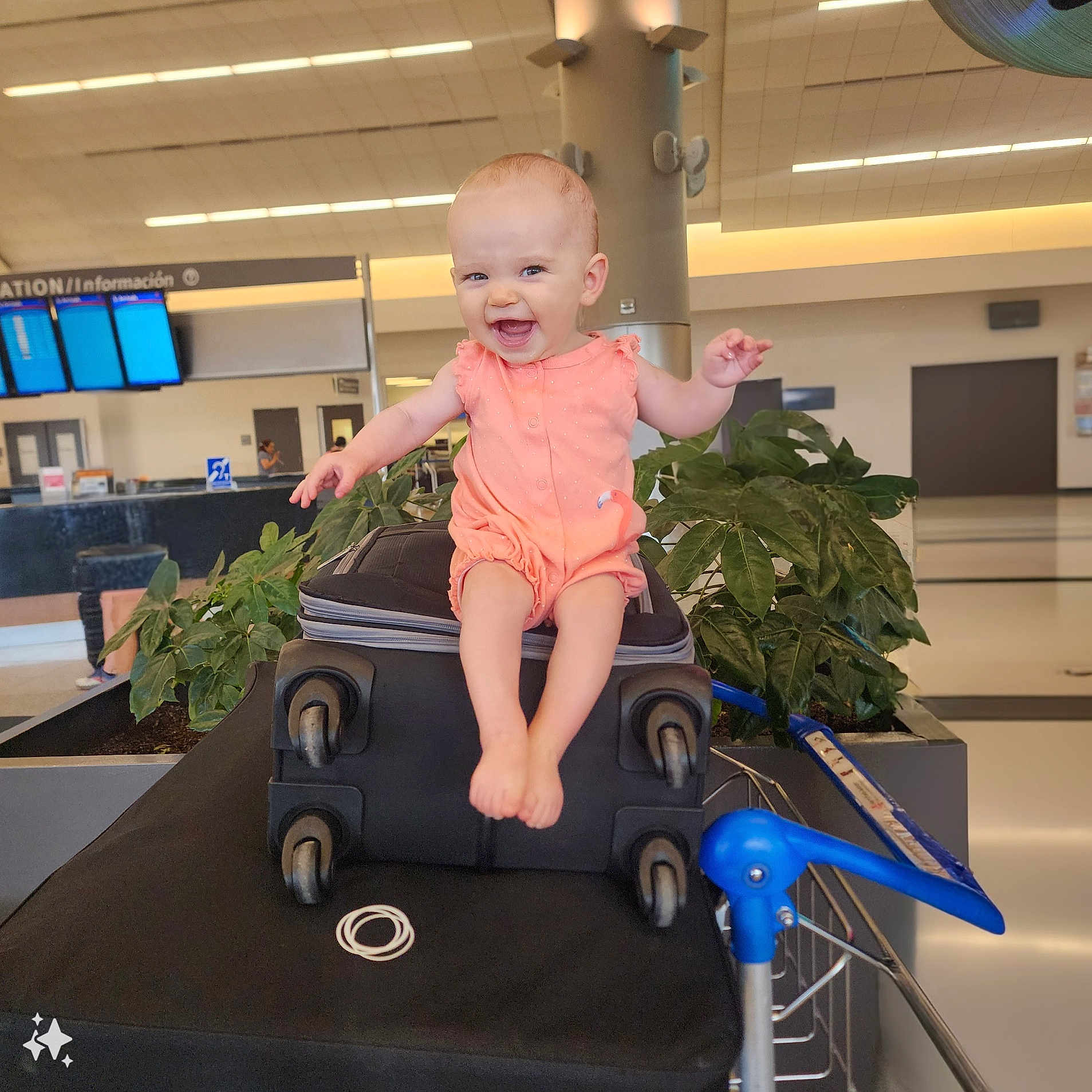 Auri joined the competition — help win amazing prizes! airport, baby, baggage, computerhardware, electronics, face, furniture, hardware, head, jar, monitor, person, photography, plant, planter, portrait, pottedplant, pottery, screen, tv