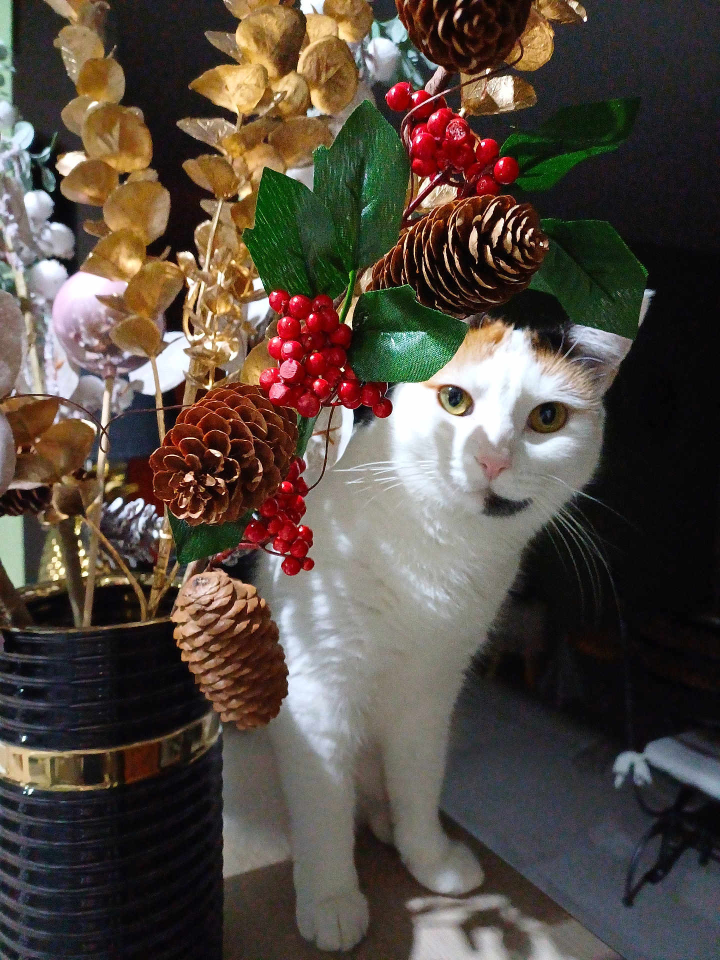 Mimie