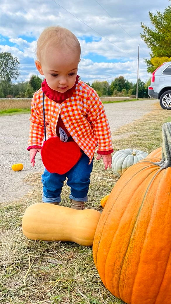Ophelia is registered to the contest to win money with this photo: calabaza, car, cloud, cucurbita, gourd, grass, green, happy, natural_foods, orange, person, photograph, plant, pumpkin, sky, squash, tire, toddler, tree, wheel