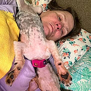 El Ee joined the competition — help win amazing prizes! dog, person, pillow, floral_pattern, yellow_blanket, purple_clothing, carpet, indoor, relaxing, lying_down, pet, sleeping, cute, paw, fur, resting, collar, home, comfort, animal